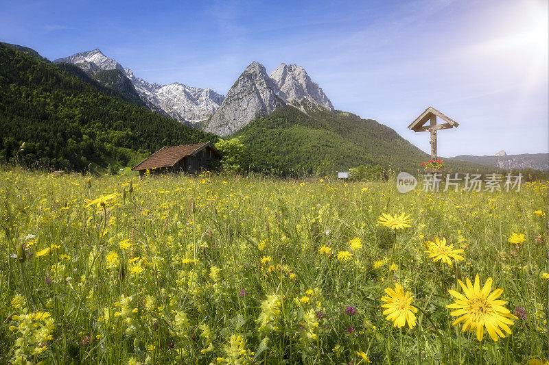 在鲜花草地上的路边神殿在Zugspitze - Garmisch Partenkirchen前面